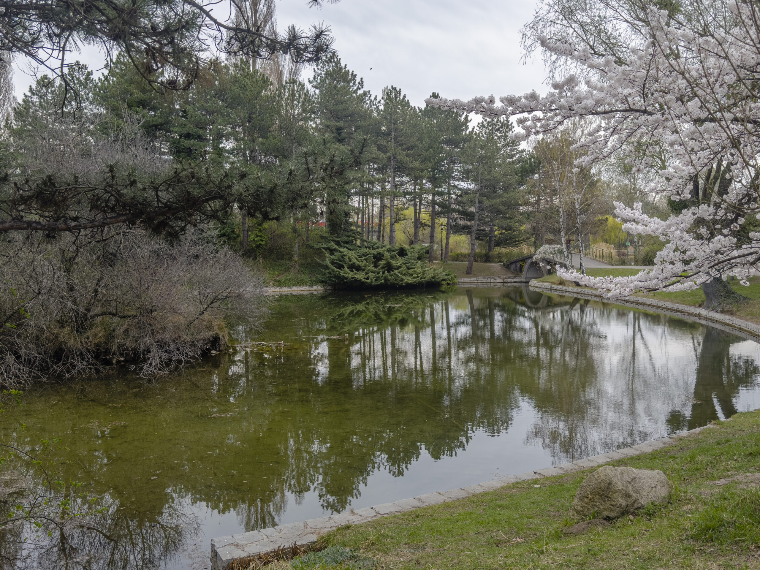 Wasserpark Vienna 1210 – Natură și relaxare în oraș