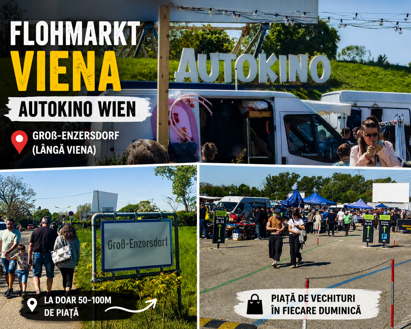 Piața de vechituri Autokino Viena – experiență mai relaxată decât Stadlau